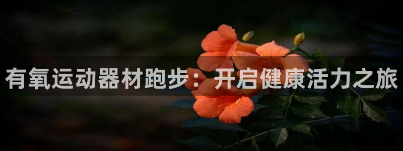 凯捷体育招商电话地址是多少：有氧运动器材跑步：开启健康活力之