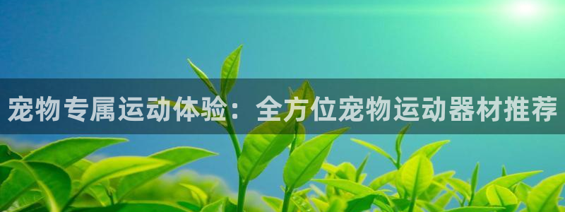凯捷体育招商电话是多少啊：宠物专属运动体验：全方位宠物运动器