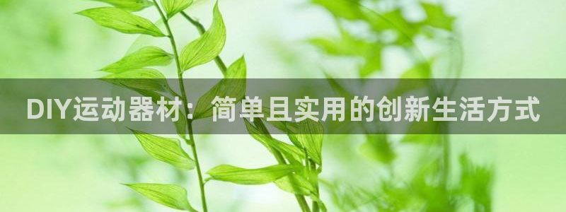 注册凯捷体育：DIY运动器材：简单且实用的创新生活方式