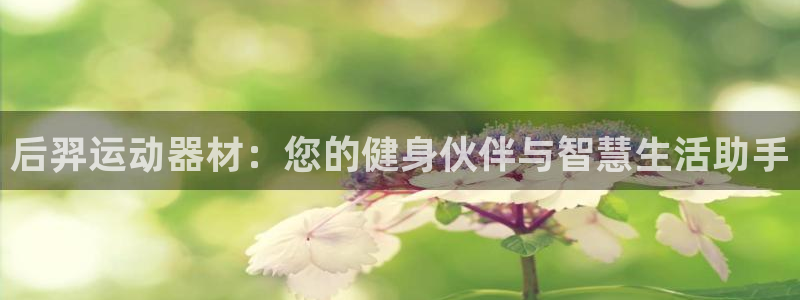 注册凯捷体育：后羿运动器材：您的健身伙伴与智慧生活助手