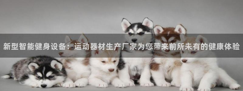 凯捷体育软件：新型智能健身设备：运动器材生产厂家为您带来前所