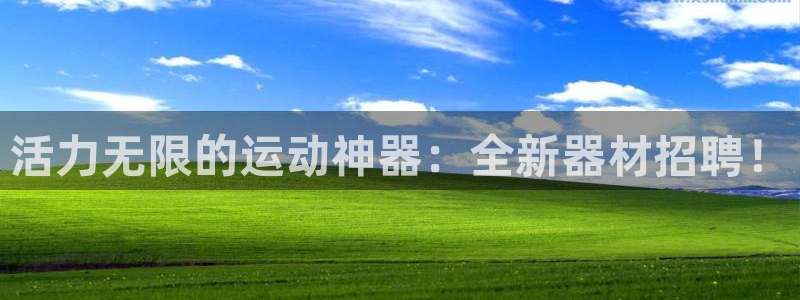 凯捷体育集团简介：活力无限的运动神器：全新器材招聘！