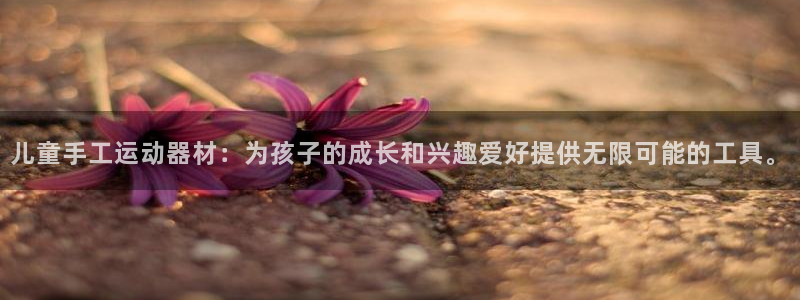 凯捷体育神州：儿童手工运动器材：为孩子的成长和兴趣爱好提供无