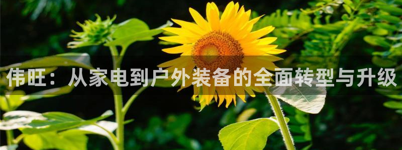 凯捷体育科技：伟旺：从家电到户外装备的全面转型与升级