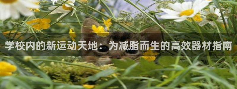 凯捷体育招商电话是多少啊