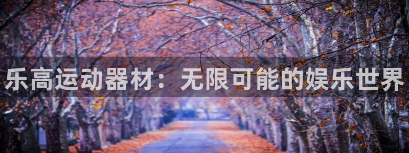凯捷体育五金厂：乐高运动器材：无限可能的娱乐世界