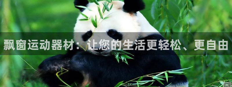 凯捷体育平台假的吗是真的吗吗：飘窗运动器材：让您的生活更轻松