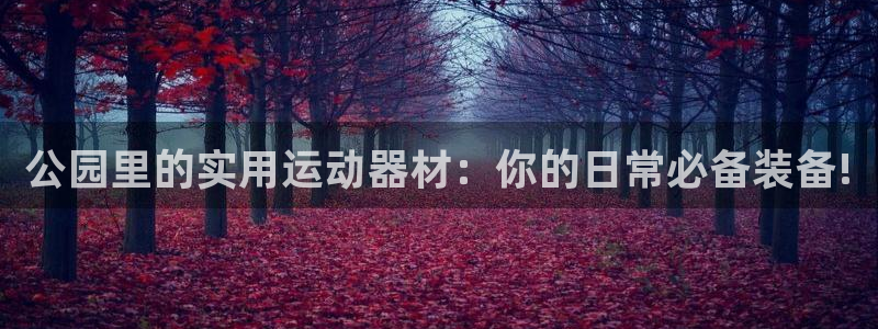凯捷体育官方：公园里的实用运动器材：你的日常必备装备!