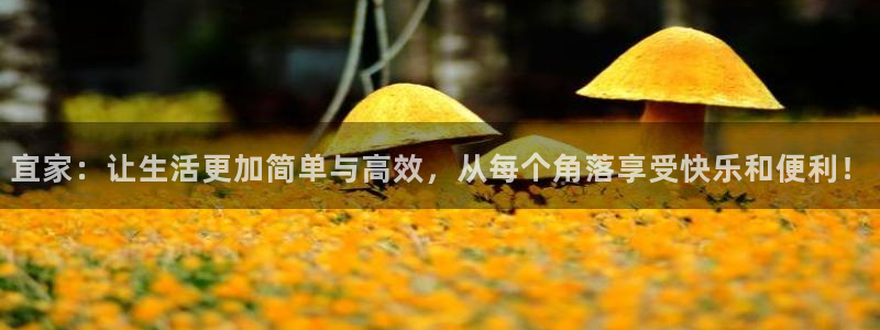 凯捷体育娱乐：宜家：让生活更加简单与高效，从每个角落享受快乐