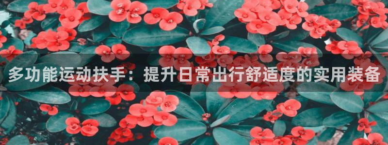 凯捷体育招商电话号码查询