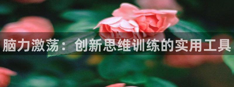 凯捷体育招商电话地址：脑力激荡：创新思维训练的实用工具