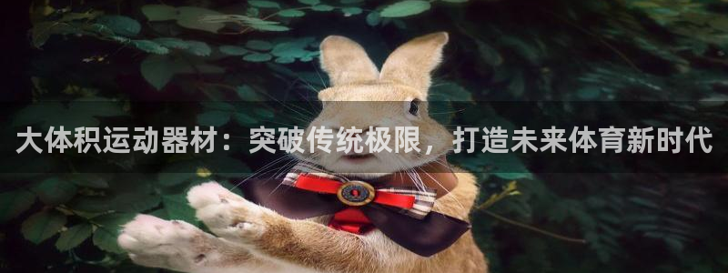 凯捷体育开户：大体积运动器材：突破传统极限，打造未来体育新时