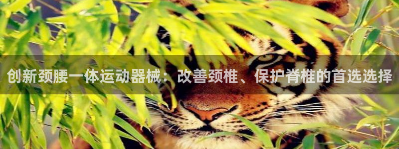 凯捷体育招商电话：创新颈腰一体运动器械：改善颈椎、保护脊椎的