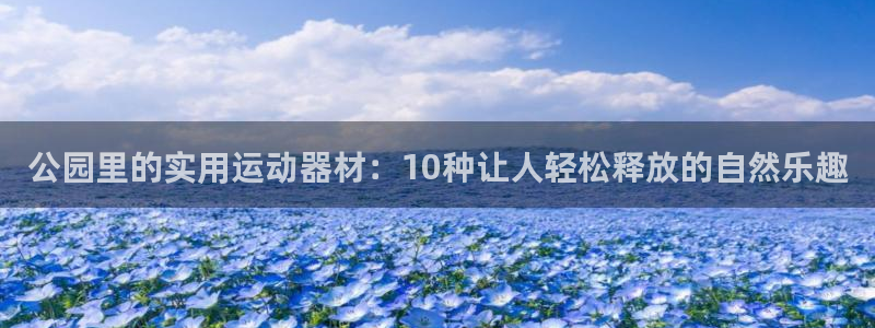 凯捷体育开户：公园里的实用运动器材：10种让人轻松释放的自然