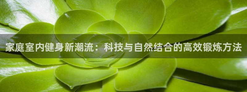 凯捷体育是干嘛的公司：家庭室内健身新潮流：科技与自然结合的高