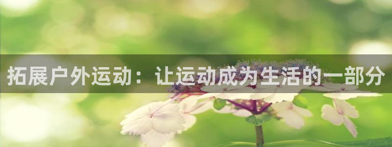 意昂集团官网