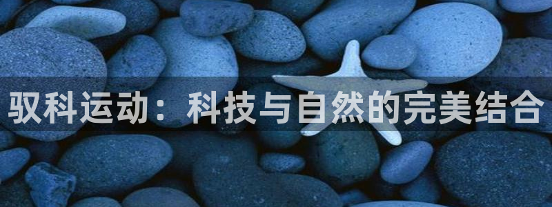 凯捷体育招商电话号码