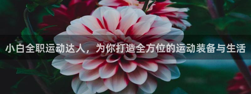凯捷体育招商电话：小白全职运动达人，为你打造全方位的运动装备
